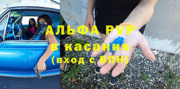 твердый Арсеньев