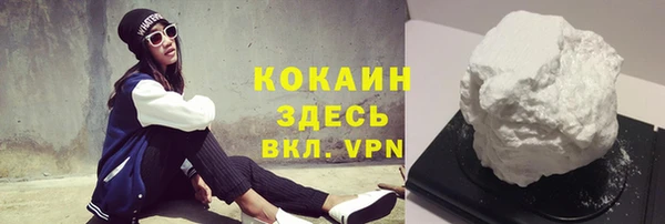 твердый Арсеньев