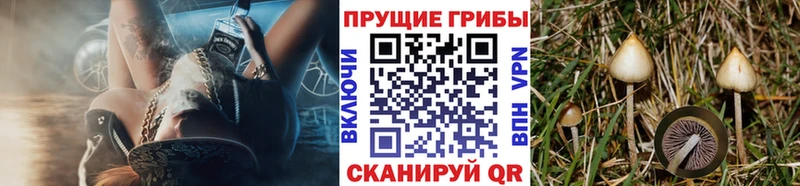 Псилоцибиновые грибы Magic Shrooms  купить   blacksprut ТОР  Слободской 
