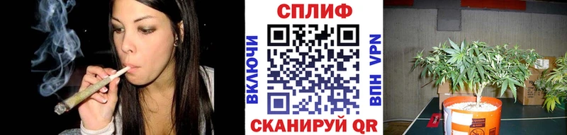 Канабис гибрид  что такое наркотик  Слободской 
